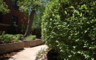 The Starkey Mansion Garden Walkway